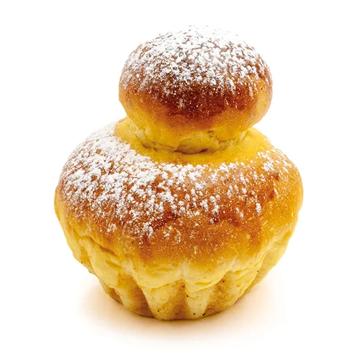 Bak Past Brioche 5% 5kg                                     